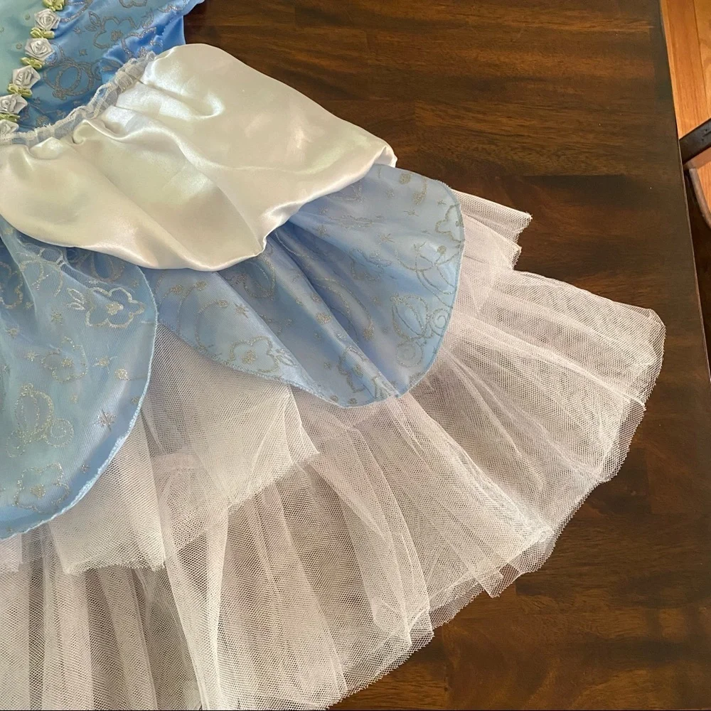 Disney Cinderella Costume